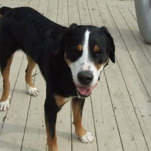 Meet your Posher, Christopher